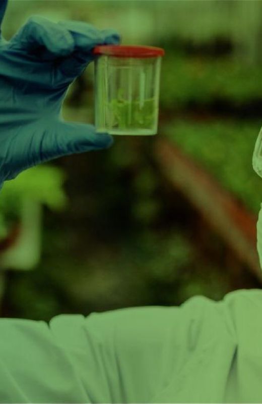 Por qué estudiar Ingeniería Agroindustrial
